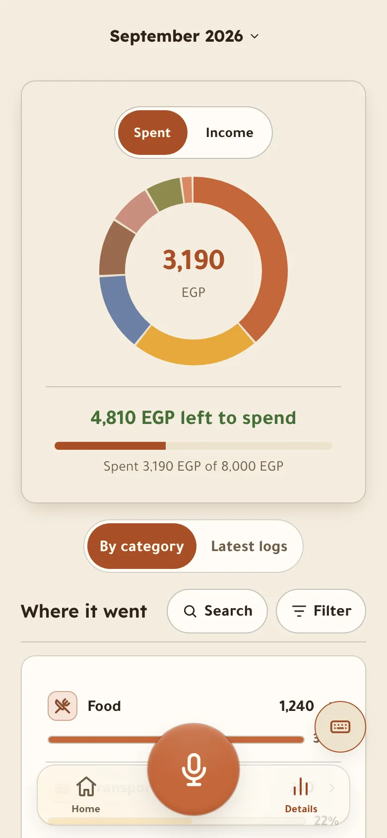Details screen: spending ring by category and what is left this month